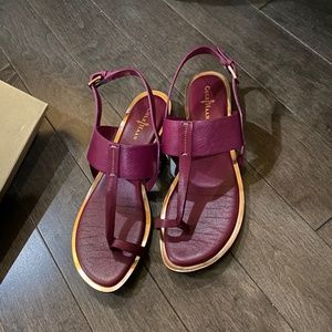 Cole Haan Pelham Strap Sandal